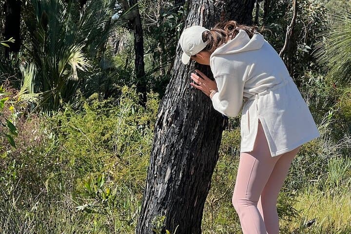 Forest Bathing in Kings Park: 3-Hour Guided Mindfulness Walk in Perth photo 5