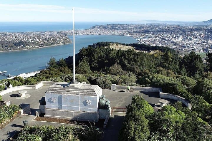 Private Dunedin & Otago Peninsula Day Tour: Albatross, Coastal Views & City Sights photo 1