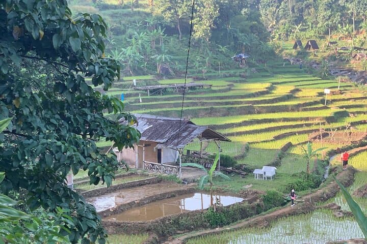 Full-Day Sentul Pine Forest and Waterfall Trek from Jakarta photo 5