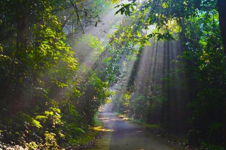 2-Day Cuc Phuong, Van Long Wetlands & Perfume Pagoda Tour from Hanoi photo 2