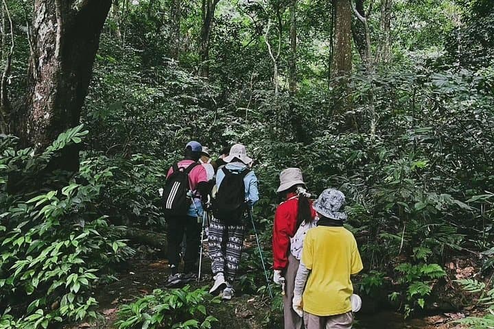 Trang An, Mua Cave & Cuc Phuong: 2-Day Ninh Binh Nature and Cultural Tour photo 3