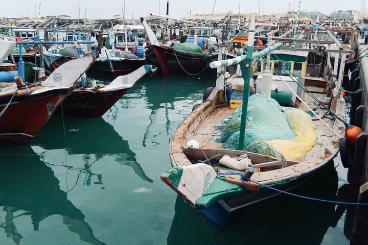 North Qatar Expedition: Zubara Fort, Purple Island & Jumail Village Tour