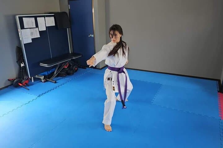 Hands-On Shito-ryu Karate Lesson with 8th-Degree Master in Kobe photo 3