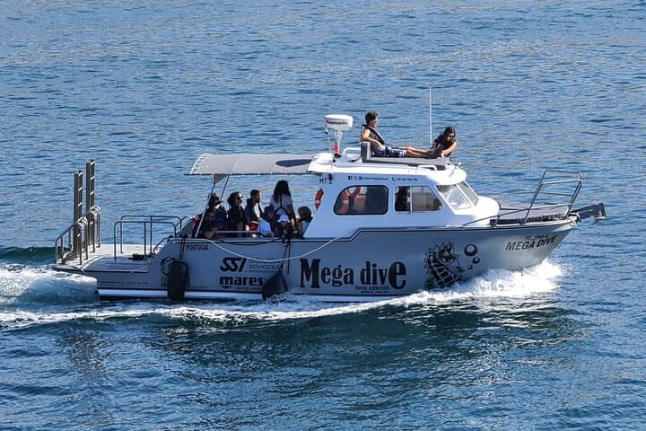 Sea-Cave Boat Tour from Sesimbra — Explore Arrábida’s Coastal Caves photo 4
