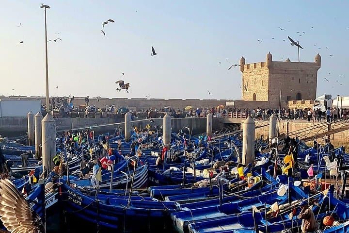 Essaouira Morocco Heritage Day Trip — Explore the Medina, Ramparts & Atlantic Beaches photo 1