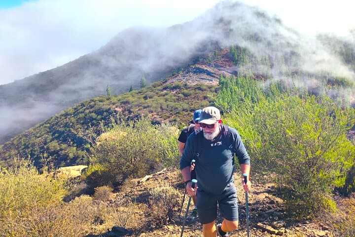 Hike the Enchanted Laurel Forest Above Masca — Guided Tenerife Day Trek with Pickup photo 6