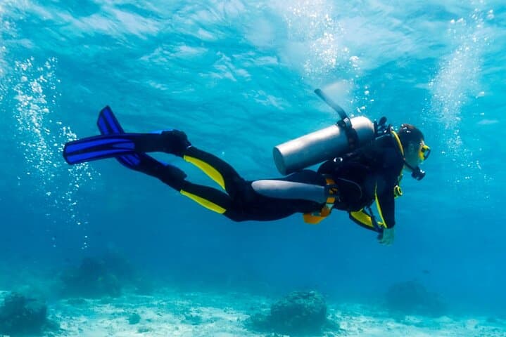 Red Sea Day Dives with Lunch: Two-Reef Exploration from Sharm El Sheikh