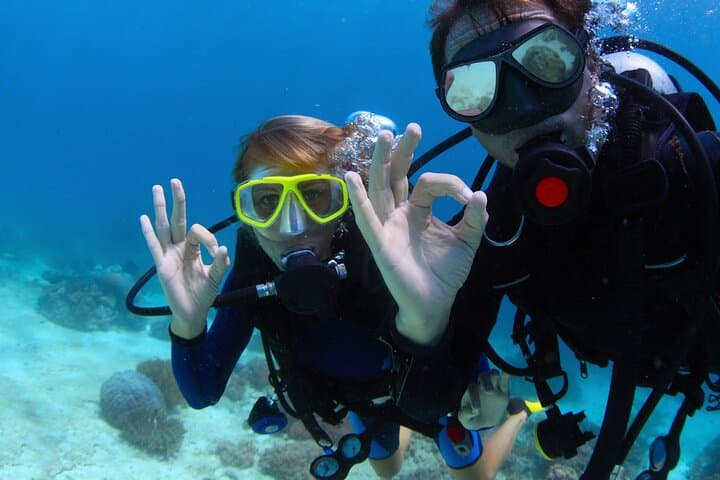 Red Sea Day Dives with Lunch: Two-Reef Exploration from Sharm El Sheikh photo 3