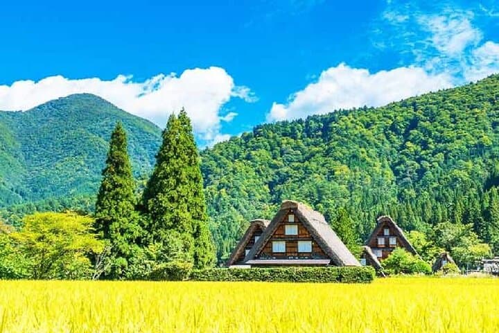 Shirakawa-go & Takayama Day Trip from Nagoya: Gassho-Zukuri Village Tour photo 2