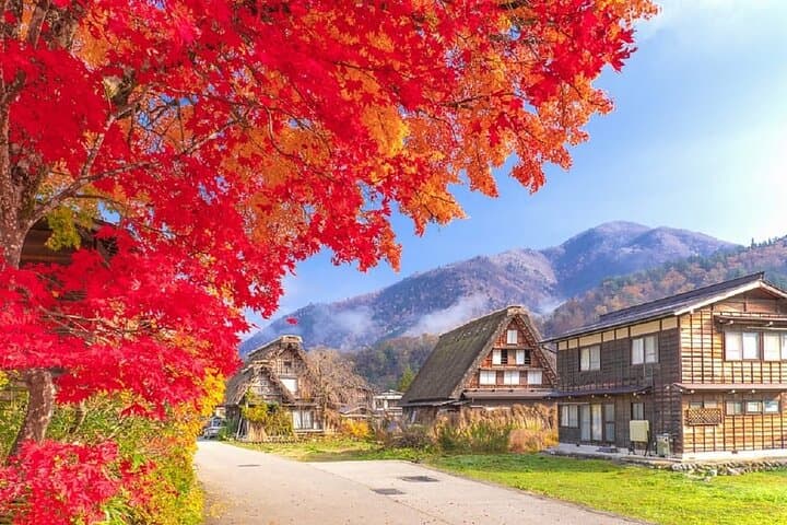 Shirakawa-go & Takayama Day Trip from Nagoya: Gassho-Zukuri Village Tour photo 3