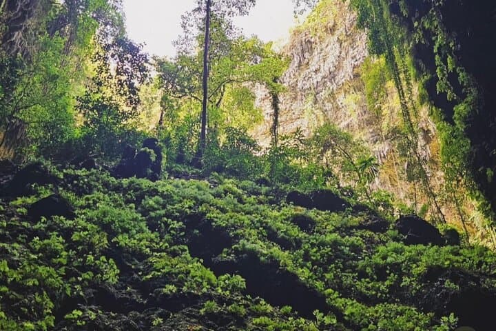 Jomblang Cave Rappel & Pindul Cave Tubing — Yogyakarta Day Tour Guide photo 3