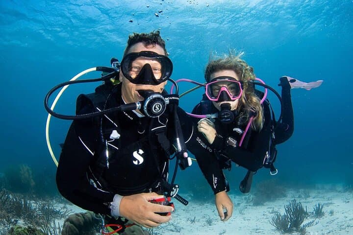 Guided Shore Diving in Bonaire Marine Park — Two Dives with Local PADI Instructors