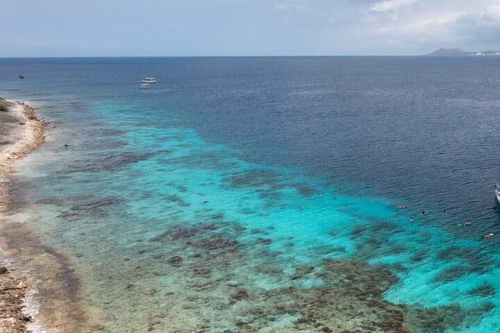 Guided Shore Diving in Bonaire Marine Park — Two Dives with Local PADI Instructors photo 5