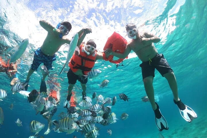 Cozumel Clear-Boat & Buggy Tour: Snorkel Reefs, Mayan Ceremonies and Island Lunch photo 4