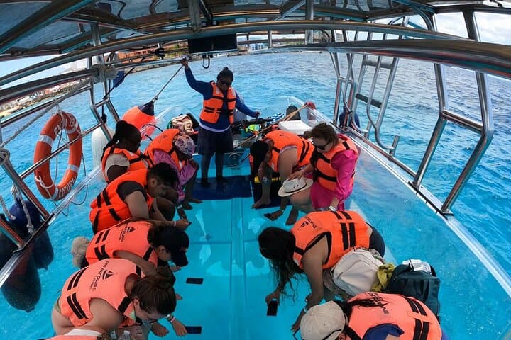 Cozumel Clear-Boat & Buggy Tour: Snorkel Reefs, Mayan Ceremonies and Island Lunch photo 5