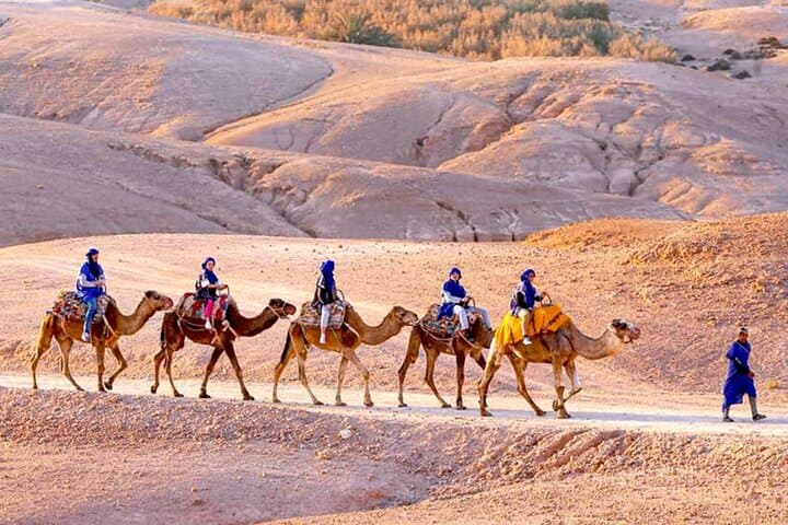 Agafay Desert Sunset Camel Ride with Dinner & Cultural Show from Marrakech photo 2