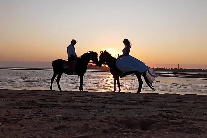 Sunrise Horseback Ride on Gili Meno Beach: 1-Hour Guided Tour photo 2