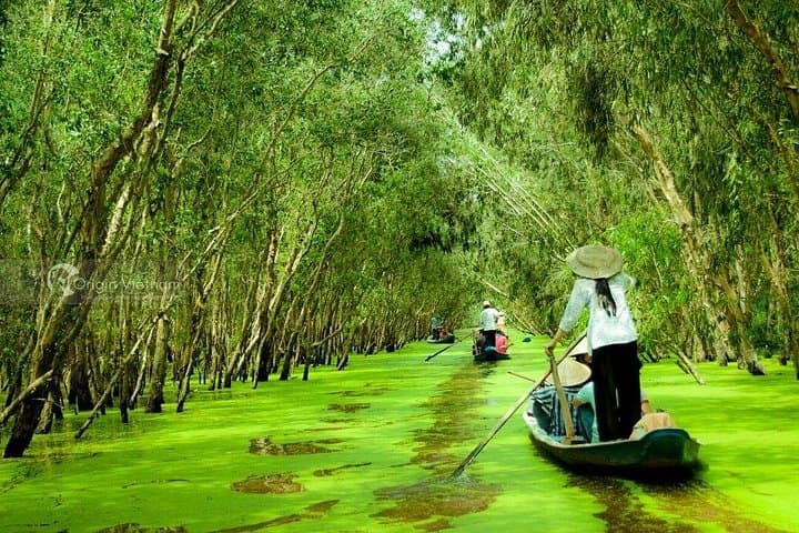 Cai Rang Floating Market & Con Son Day Tour — Can Tho River Breakfast and Island Life photo 3