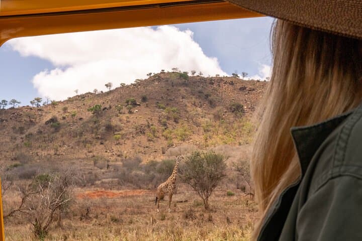 2-Day Tanzania Safari: Tarangire & Ngorongoro Crater Wildlife Highlights photo 3