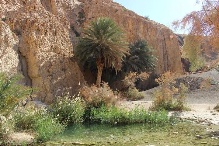 Tozeur Oases & Ong Jmal: Day Trip to Chebika, Tamerza, Midès and the Dunes photo 2