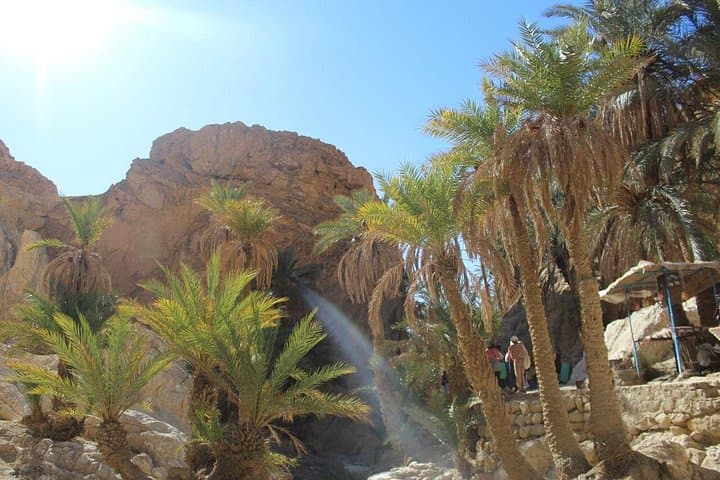 Tozeur Oases & Ong Jmal: Day Trip to Chebika, Tamerza, Midès and the Dunes photo 4
