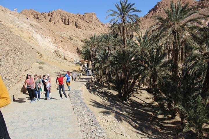 Tozeur Oases & Ong Jmal: Day Trip to Chebika, Tamerza, Midès and the Dunes photo 6
