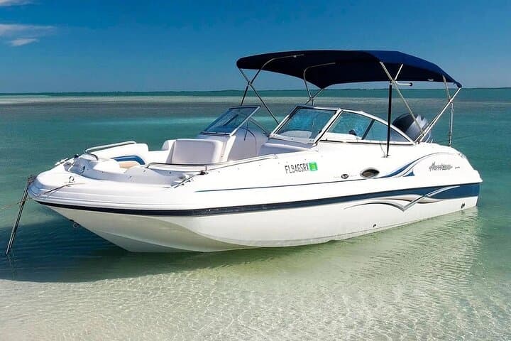 Exploring Turks and Caicos: A 4-Hour Private Bottom Fishing Charter Experience photo 3