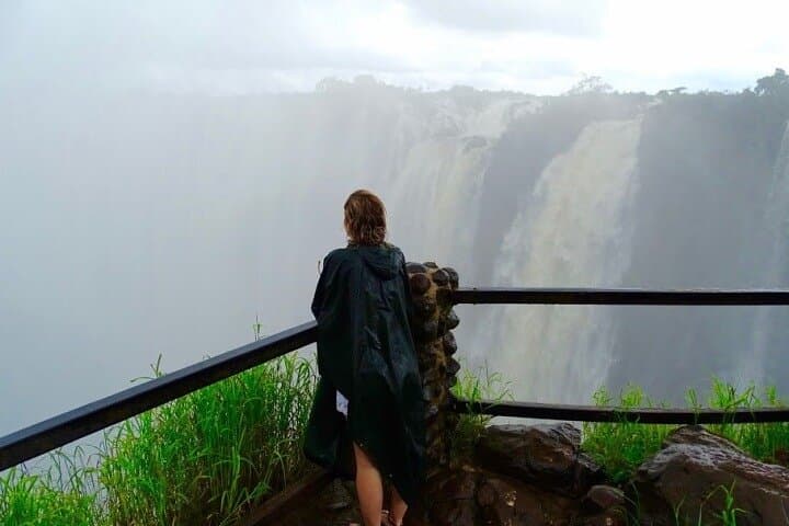 Victoria Falls Guided Tour — Zambia Side: Livingstone Rainforest & Gorge Views photo 6