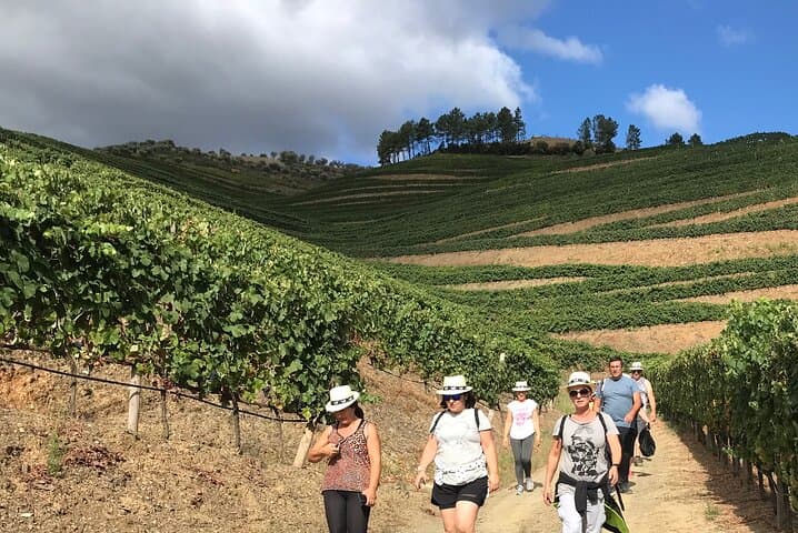 Douro Valley Vineyard Hike & Picnic from Porto — Guided Quinta Walk photo 2
