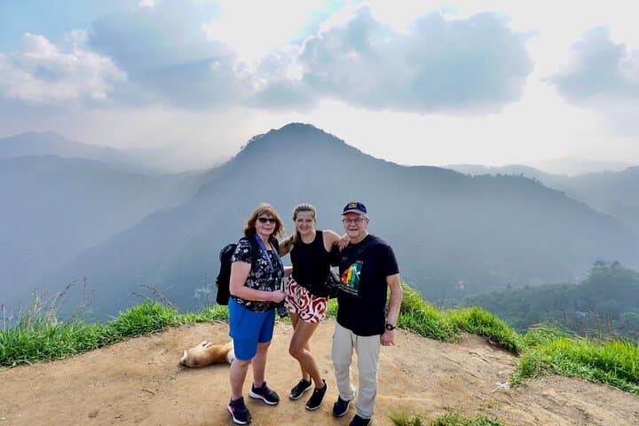 Ella All-Inclusive Day Tour: Train Ride, Nine Arch Bridge & Tea Factory