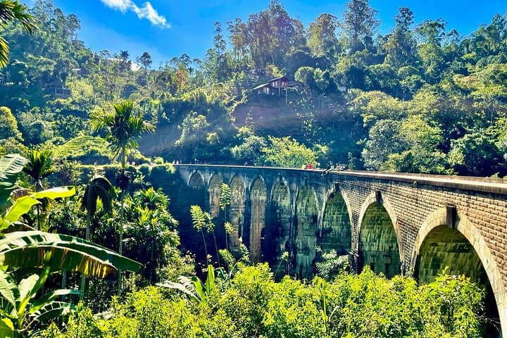 Ella All-Inclusive Day Tour: Train Ride, Nine Arch Bridge & Tea Factory photo 5