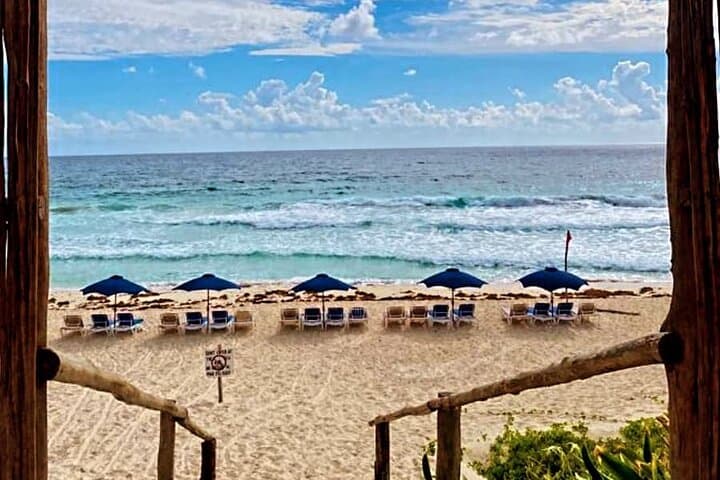 Cozumel All-Inclusive Buggy Adventure: Snorkel, Mayan Park & Lunch photo 4