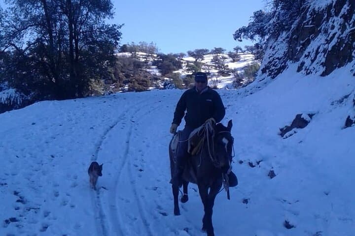 Andes Horseback Ride from Santiago: Scenic Half-Day with Hotel Pickup