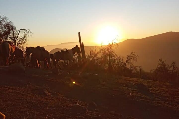 Andes Horseback Ride from Santiago: Scenic Half-Day with Hotel Pickup photo 2