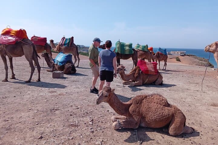 Private Guided Tour in Tangier — Cap Spartel, Hercules Cave & Medina Walk photo 5