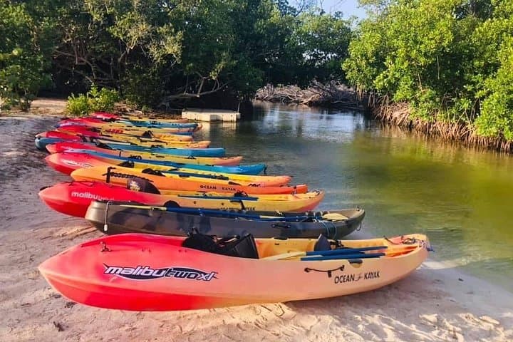 Bio Bay Night Kayaking in Fajardo: Laguna Grande Bioluminescence Tour photo 3