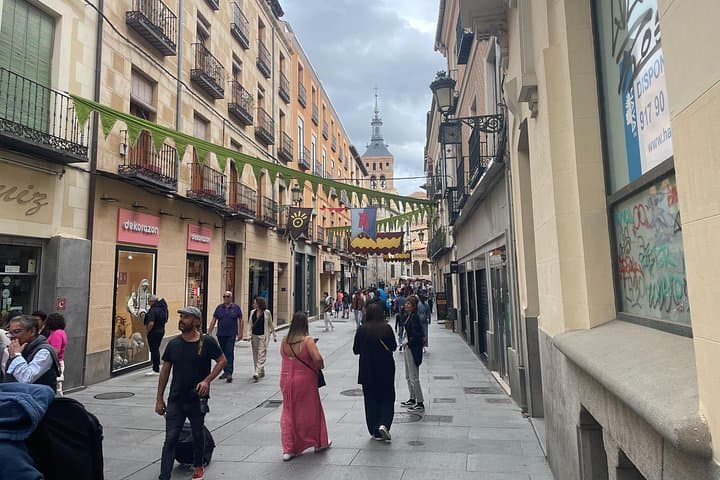 Half-Day Segovia Private Minivan Tour from Madrid — Alcázar, Aqueduct & Cathedral photo 2