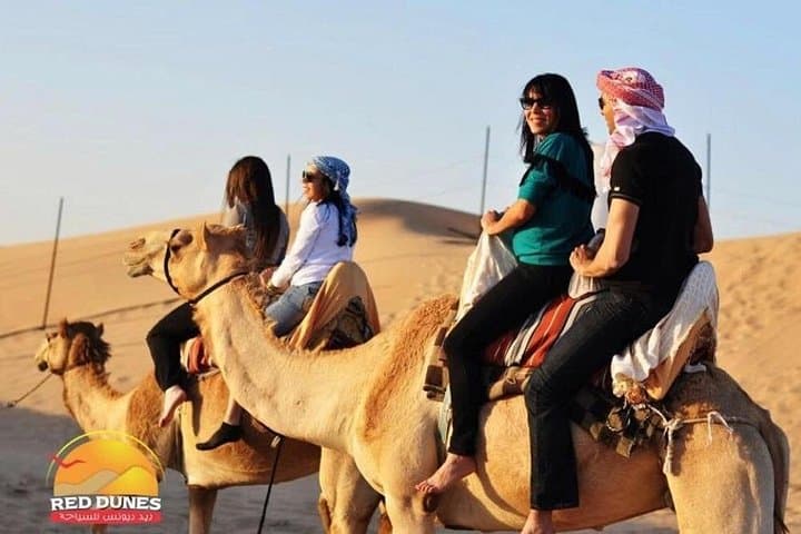 Dubai Desert Safari — Morning & Evening Dune Drives, Quad Bikes and Bedouin BBQ photo 1