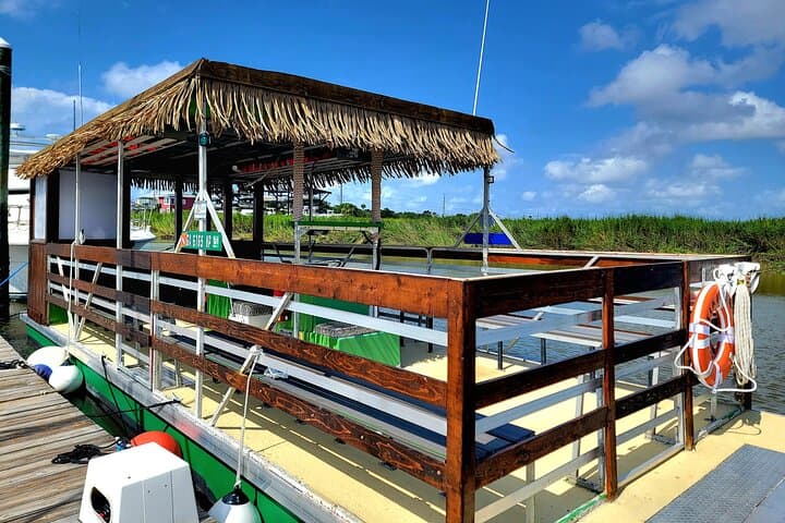 Tybee Tiki Boat Adventure: 90-Minute Dolphin Cruise from Tybee Island Marina photo 4