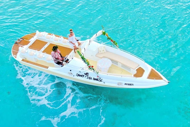 Bora Bora Jet Boat & Snorkeling Tour — Rays, Sharks and Coral Lagoons photo 3
