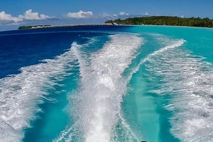 Bora Bora Jet Boat & Snorkeling Tour — Rays, Sharks and Coral Lagoons photo 4