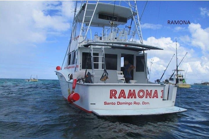 Punta Cana Deep‑Sea Fishing: Half‑Day Offshore Charter for Billfish and Pelagics photo 4