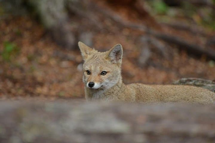 Tierra del Fuego National Park Guided Visit from Ushuaia photo 3