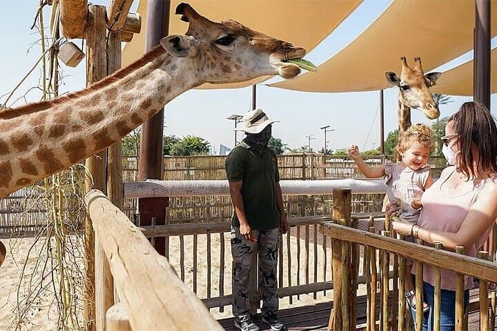 Dubai Safari Park: Full-Day Wildlife Encounter & Visitor Guide photo 3