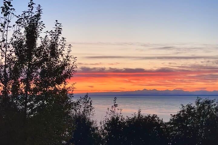 Anchorage Winter Wildlife & Sunset Tour: Turnagain Arm to AWCC photo 2