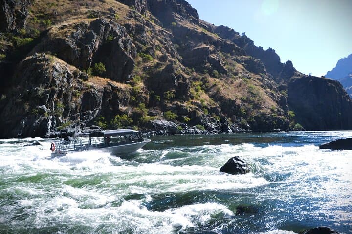 Hells Canyon Jet Boat Adventure: Scenic River Tour with Wildlife & Whitewater photo 5