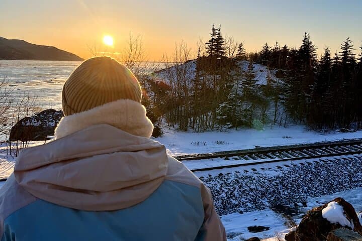 Anchorage Winter Wildlife & Sunset Tour: Turnagain Arm to AWCC