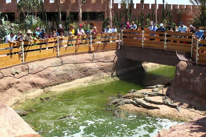 Quad Bike Safari in Agadir & Crocoparc: Argan-Goats and Nile Crocodiles photo 6