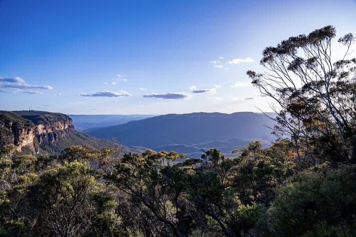 Blue Mountains Day Tour & Featherdale Wildlife Park photo 5