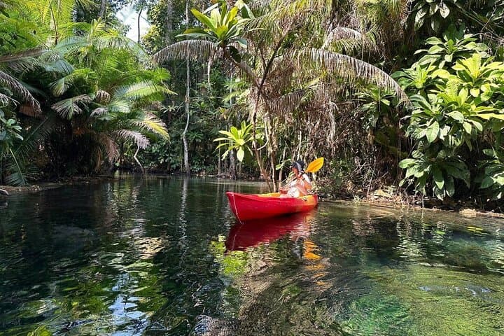 Klong Rood Mirror Lake Kayaking — Half-Day Kayak, Swim & Pineapple Farm Tour in Krabi photo 4